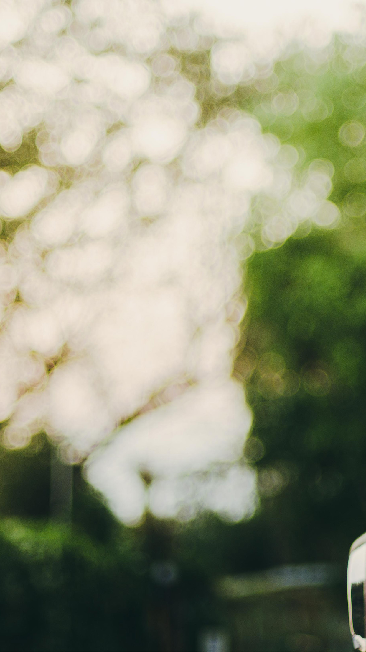 Blur Nature Wallpaper Hd - 1242x2208 Wallpaper Blur Nature Wallpaper Hd - 1242x2208 Wallpaper