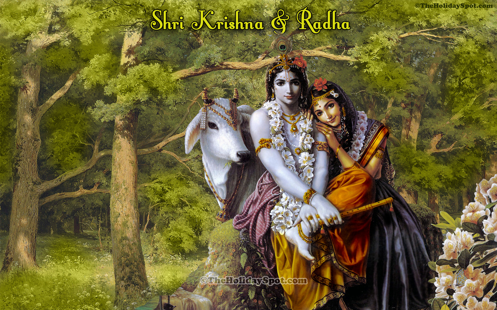 Radha And Shri Krishna - HD Wallpaper 