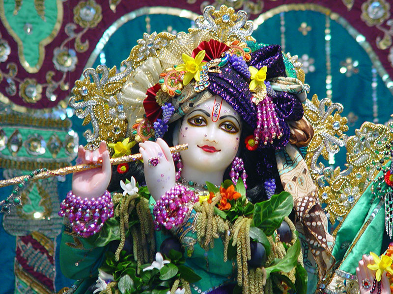 Vrindavan Krishna - HD Wallpaper 