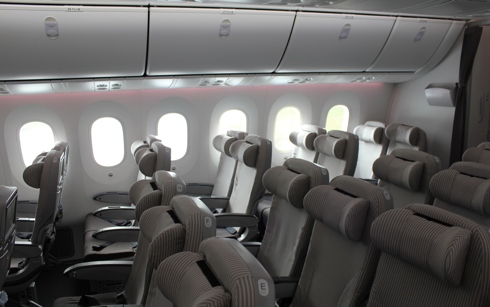 Japan Airlines Economy Dreamliner - HD Wallpaper 