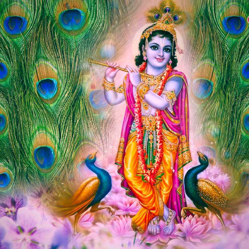 Maa Kali Hd Wallpaper 1080p - Hd Wallpaper 1080p Krishna - HD Wallpaper 