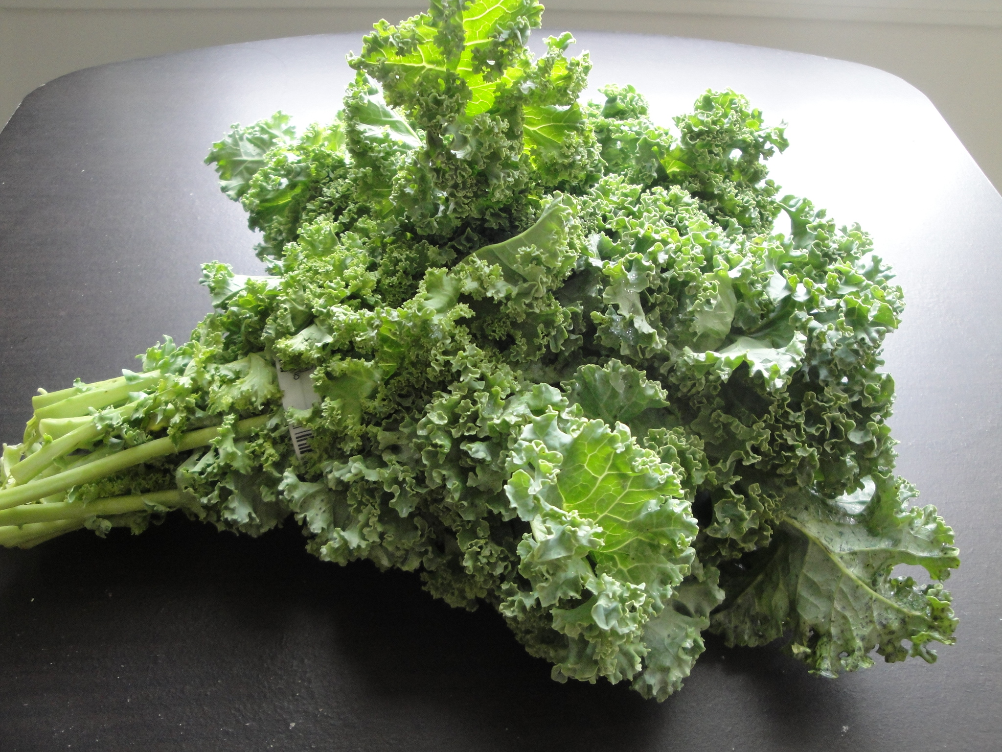 Broccoli - HD Wallpaper 