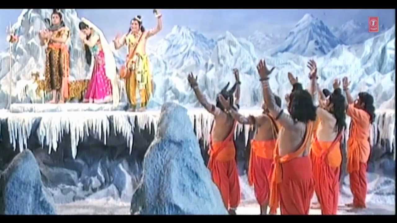 Flightless Bird - HD Wallpaper 