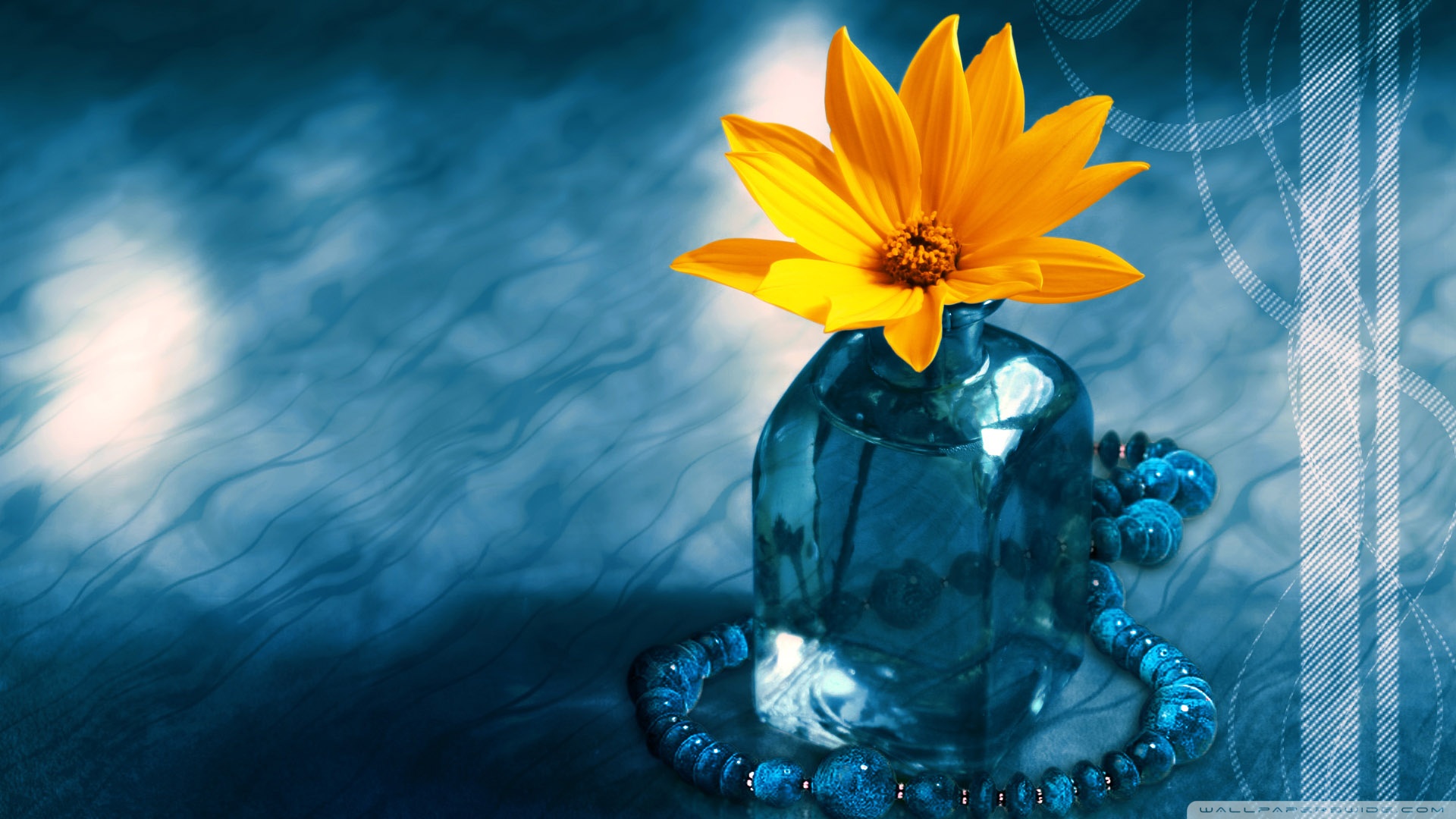 Nature Yellow And Blue - HD Wallpaper 