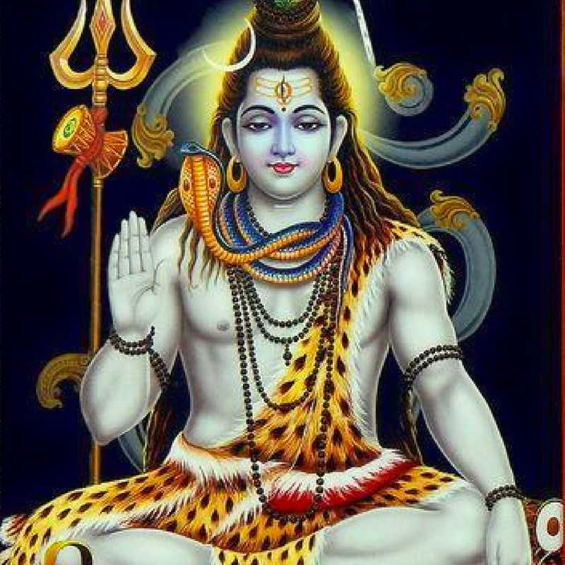 Lord Shiva Hd Wallpapers - Lord Shiva Wallpapers Hd Free Download - 800x800  Wallpaper 
