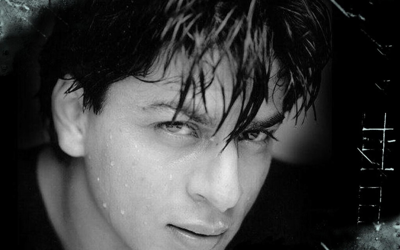 Shahrukh Khan Best Hd - HD Wallpaper 