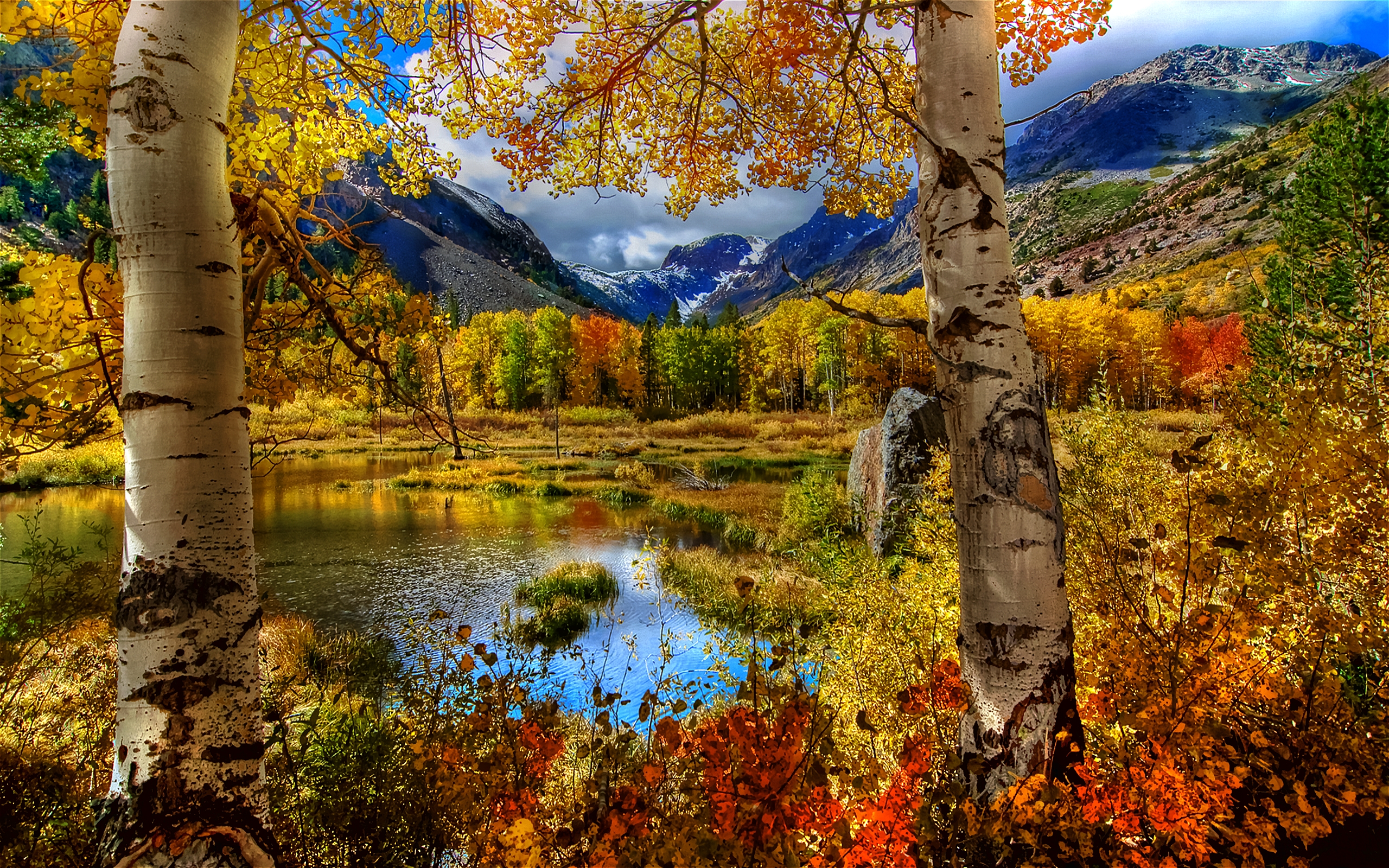 Nature Autumn - HD Wallpaper 