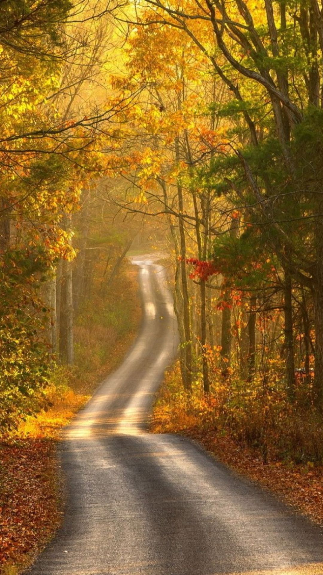 Android Autumn - HD Wallpaper 