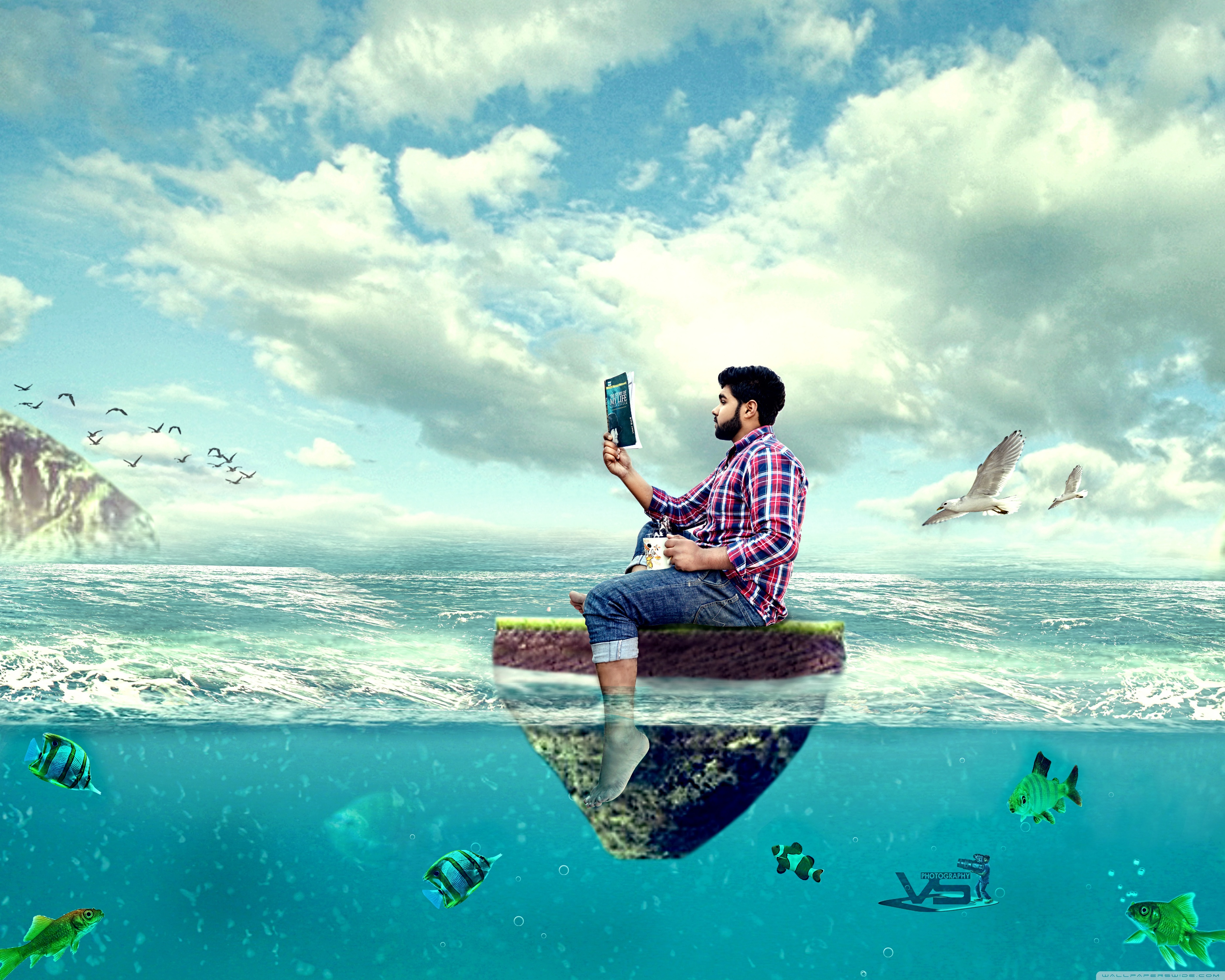 Sunny Field - HD Wallpaper 