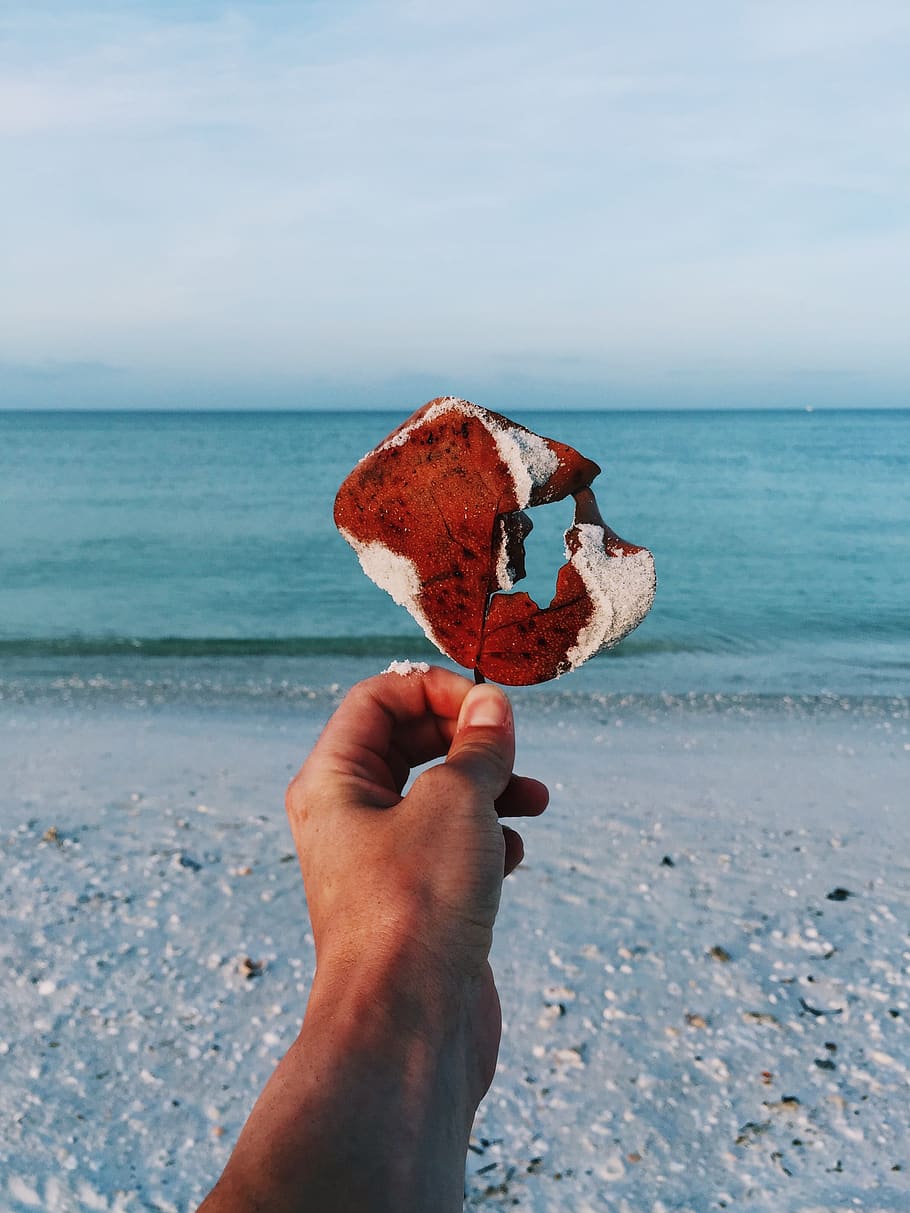 United States, Marco Island, Human Hand, Sea, Holding, - Sea - HD Wallpaper 