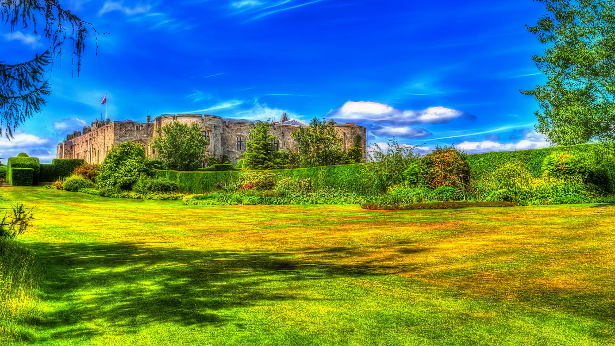 Grass - HD Wallpaper 