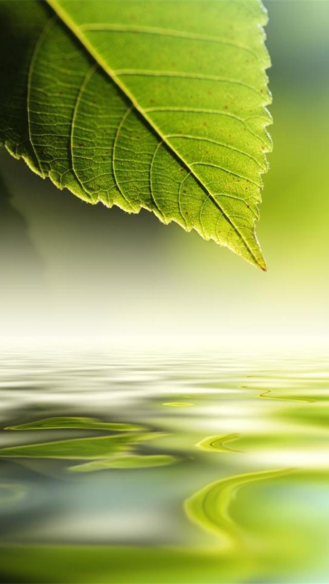 Nature Green Wallpapers For Iphone - Good Morning Enjoy Your Day Off - HD Wallpaper 