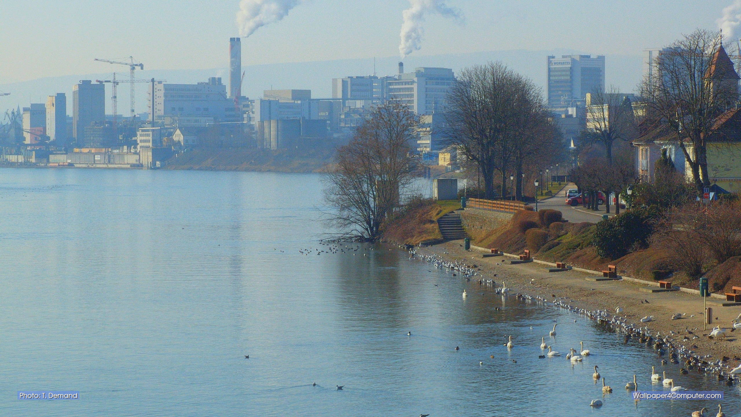 Urban Area - HD Wallpaper 