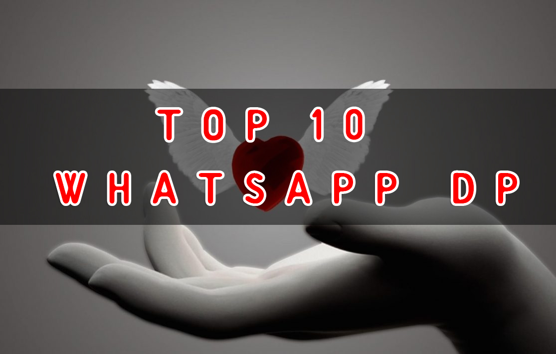 Top 10 Whatsapp Dp - Whats App Image For Whatsapp Dp - HD Wallpaper 