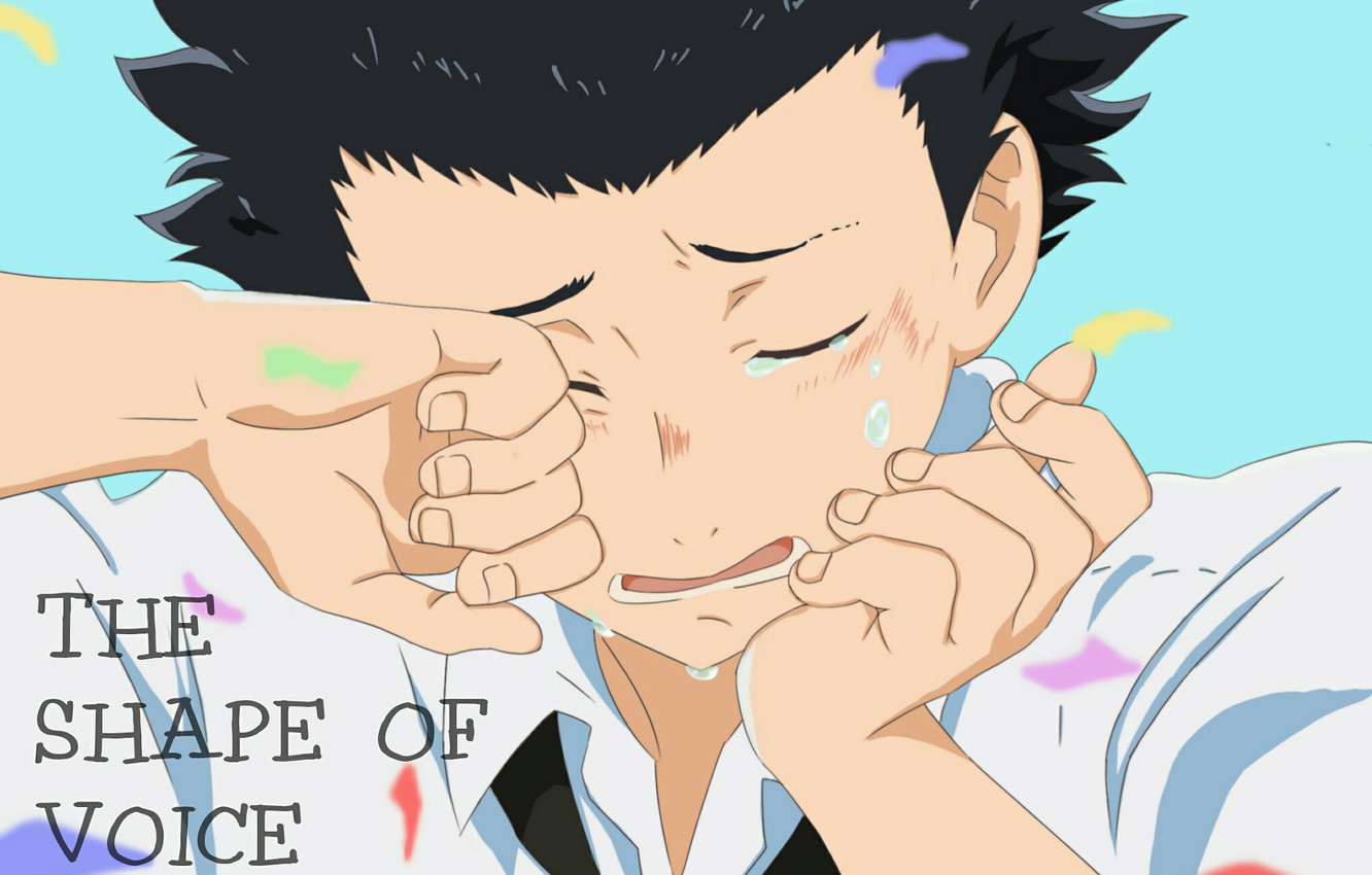 Photo Wallpaper Anime, Guy, Tears, Crying, 2016, You - Koe No Katachi Ishida Cry - HD Wallpaper 