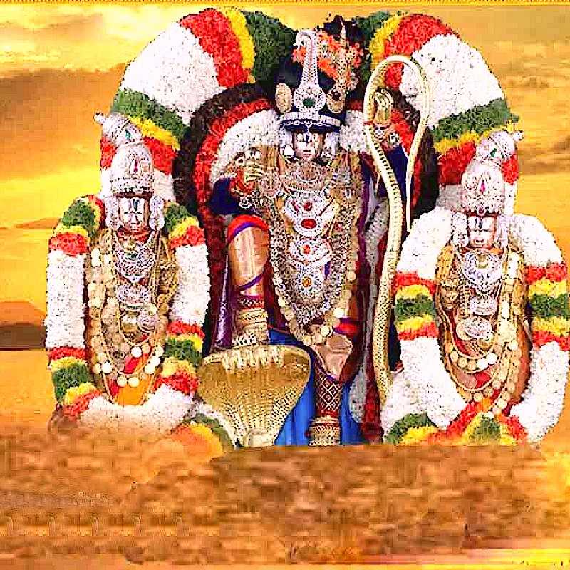 Lord Venkateswara Hd Wallpapers - Ttd Images Free Download - 800x800  Wallpaper 