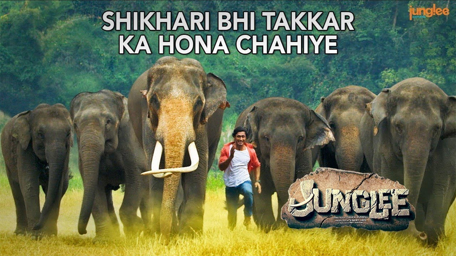 Indian Elephant - HD Wallpaper 