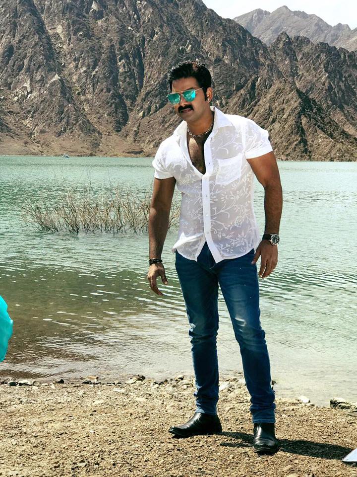 Pawan Singh Hd Wallpaper - Pawan Singh New Photo 2019 - HD Wallpaper 