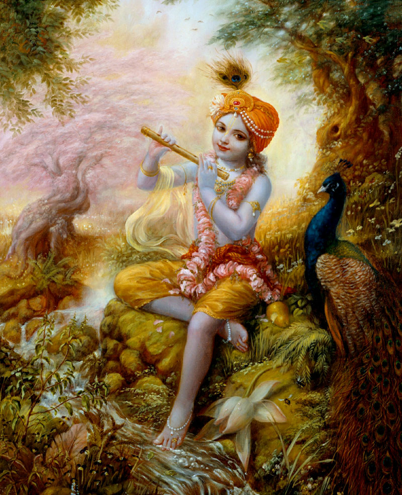 Krishna1 - Krishna With Peacock Feather - HD Wallpaper 