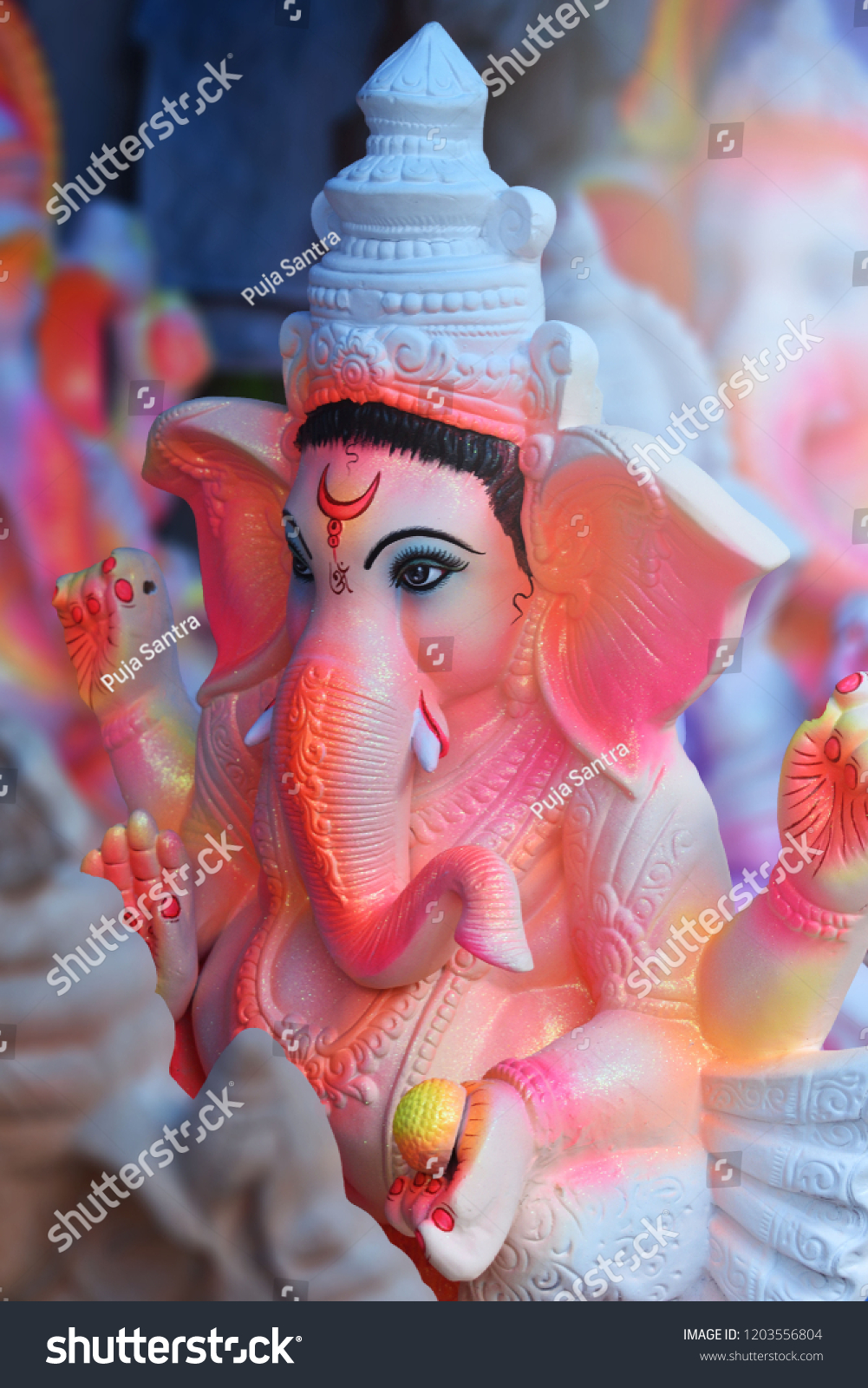 Close-up - HD Wallpaper 