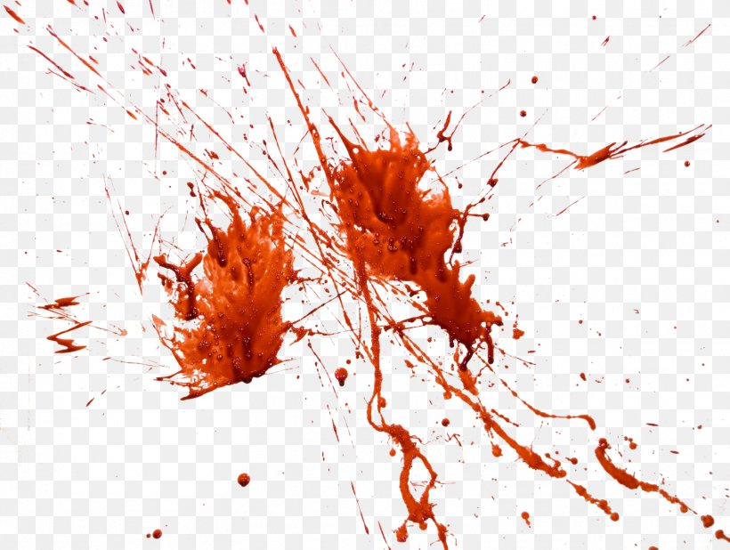 Blood Desktop Wallpaper Image Editing Clip Art Png 0x618 Wallpaper Teahub Io Blood Desktop Wallpaper Image Editing Clip Art Png 0x618 Wallpaper Teahub Io
