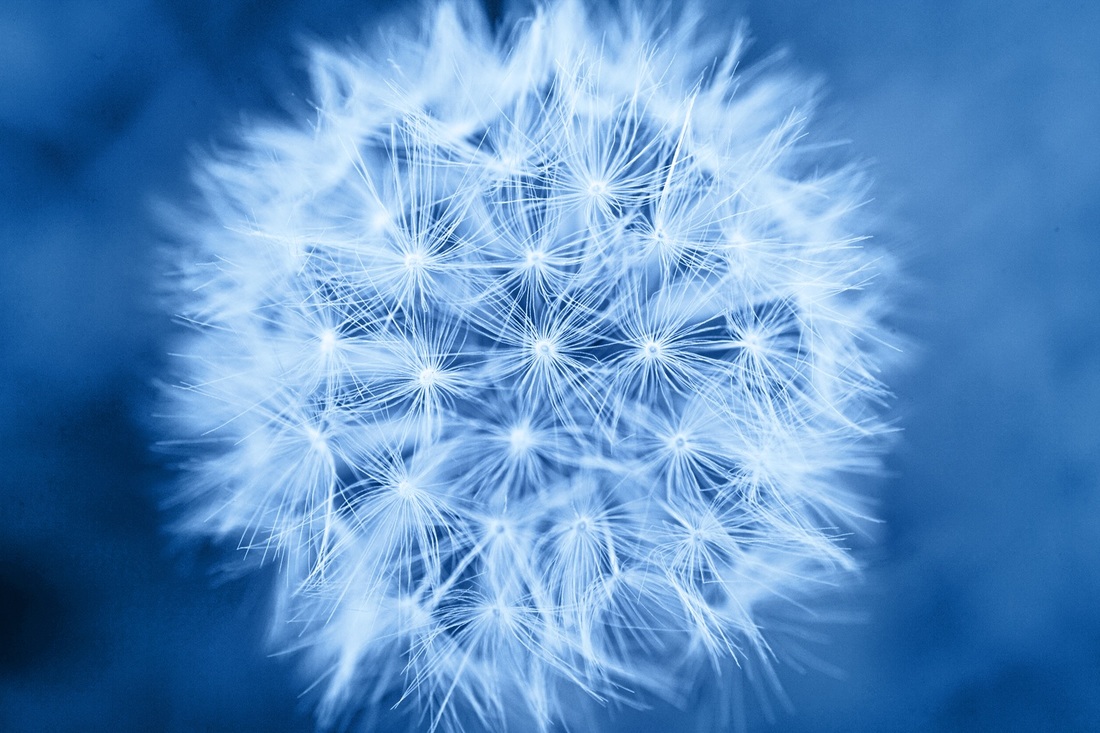 Access Consciousness - HD Wallpaper 