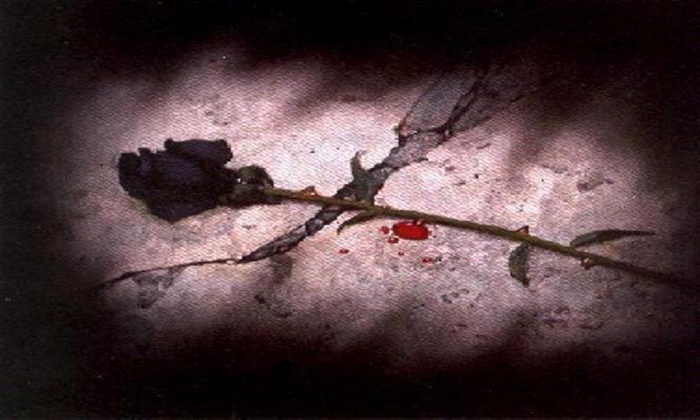 Black Rose Heart Broken - HD Wallpaper 