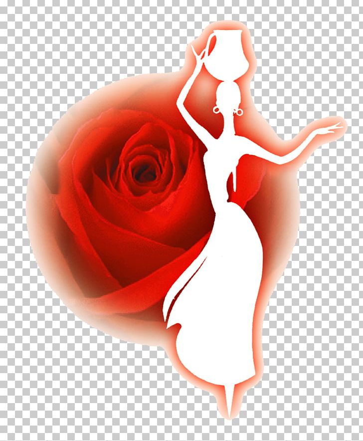 Beach Rose Woman Flowering Tea Png, Clipart, Baby Girl, - Social Media Stickers Download - HD Wallpaper 