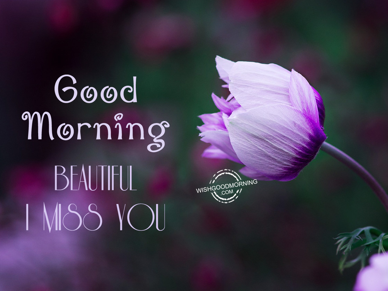 Beautiful I Miss You - Good Morning Image For Gf - HD Wallpaper 