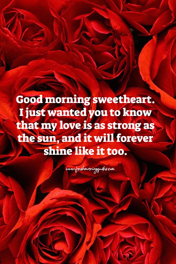 Sweet Good Morning Love Messages For Girlfriend - Roses Red - HD Wallpaper 