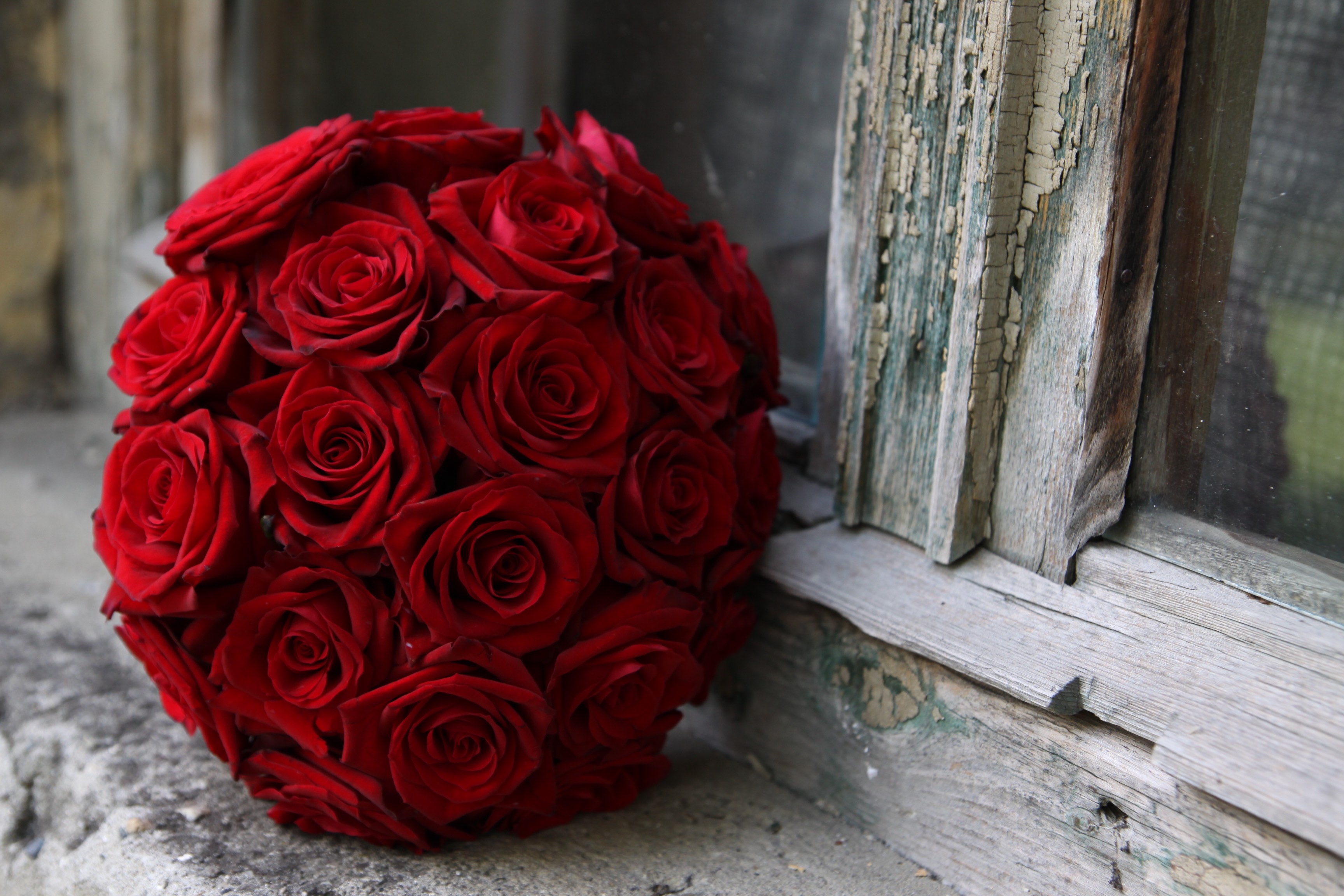 Red Roses On An Old Windowsill - Red Flowers Wallpapers Hd - HD Wallpaper 