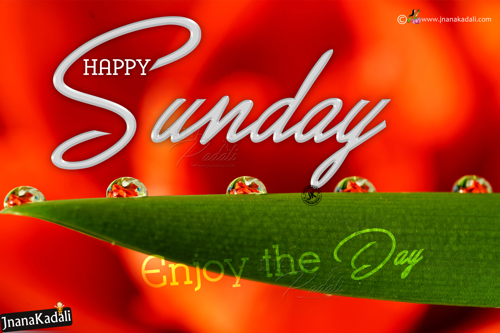 Happy Sunday Images Pictures In English, Hapy Sunday - Poster - HD Wallpaper 