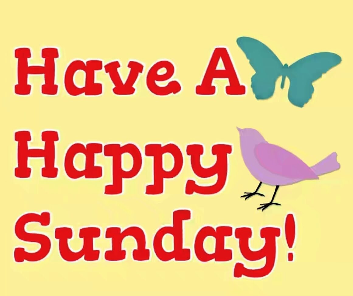 Sunday Clipart Happy Sunday - Perching Bird - HD Wallpaper 