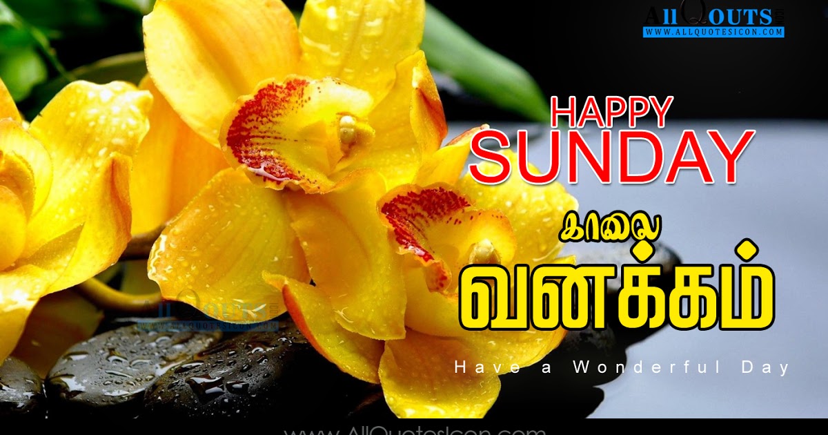 Tamil Good Morning Quotes Wshes For Whatsapp Life Facebook - 3d Yellow Orchid - HD Wallpaper 