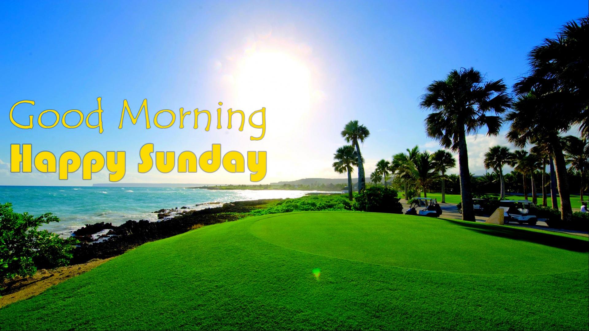 Sunhari Good Morning - HD Wallpaper 