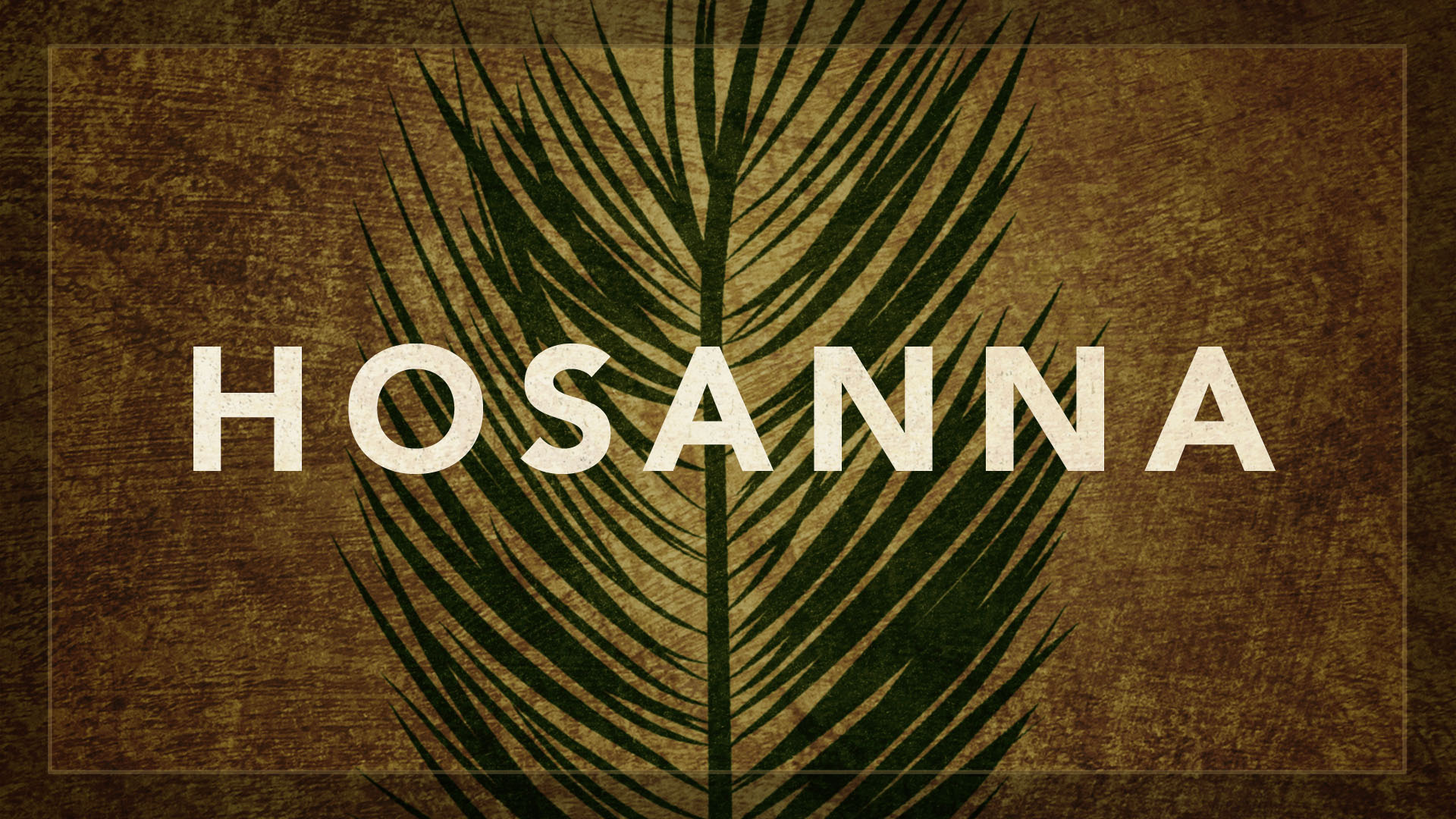 Palm Sunday - 1920x1080 Wallpaper Palm Sunday - 1920x1080 Wallpaper