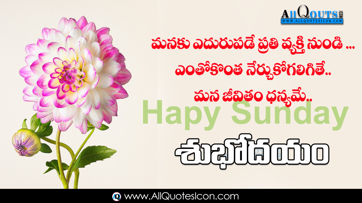 Telugu Good Morning Quotes Wishes For Whatsapp Life - Beautiful Good Night Images With Flowers - HD Wallpaper 