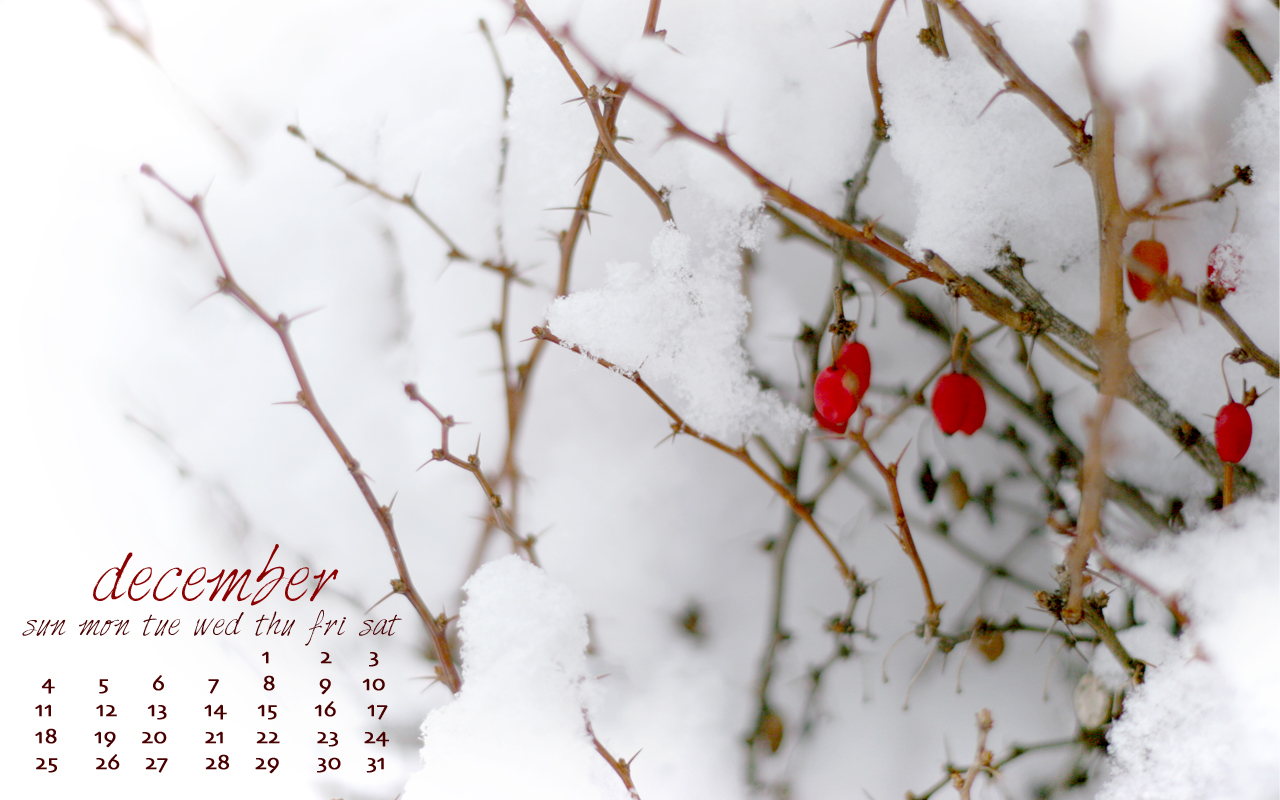 December 1 - HD Wallpaper 