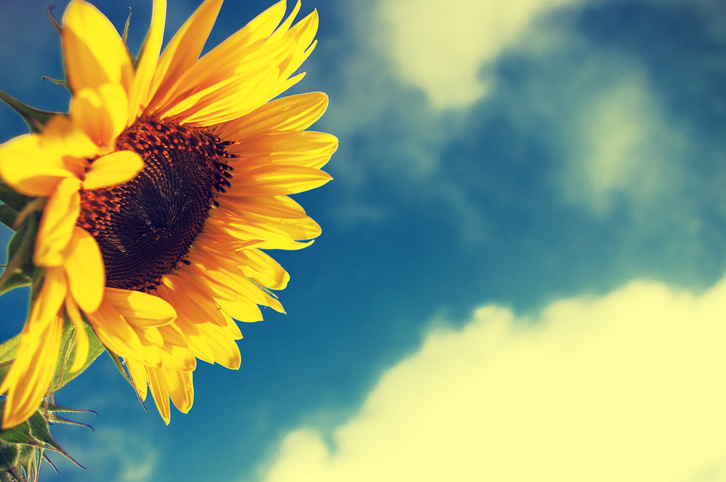 Sunday Quotes - Weather Sunshine - HD Wallpaper 