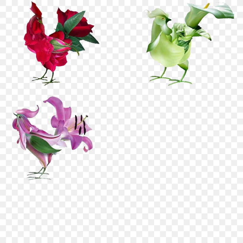 Morning Greeting Wish Image Hosting Service Wallpaper, - Blue Rose Good Morning - HD Wallpaper 