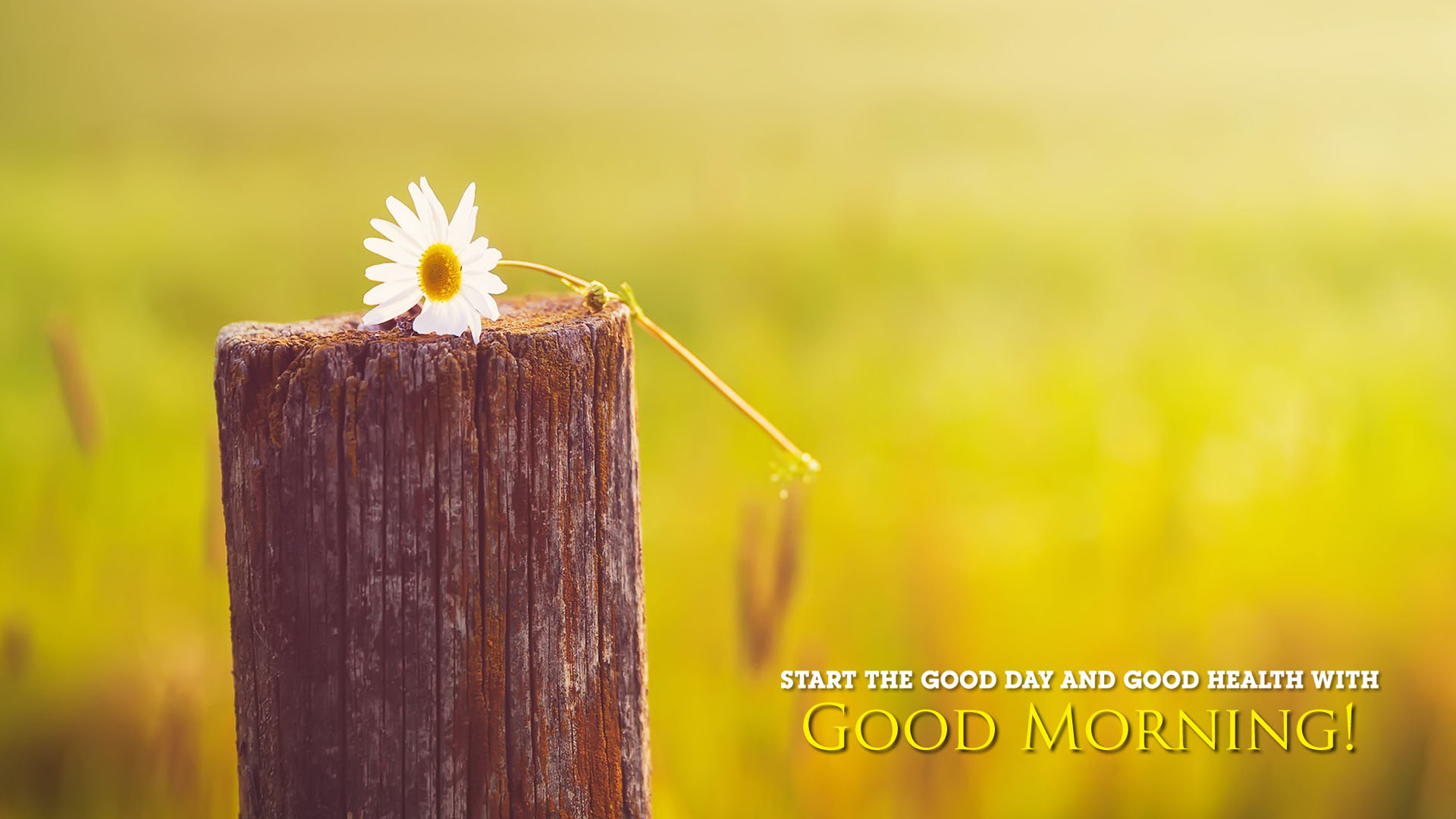 Good Morning Best Wallpapers And Backgrounds - Good Morning Hd Background -  1920x1080 Wallpaper 
