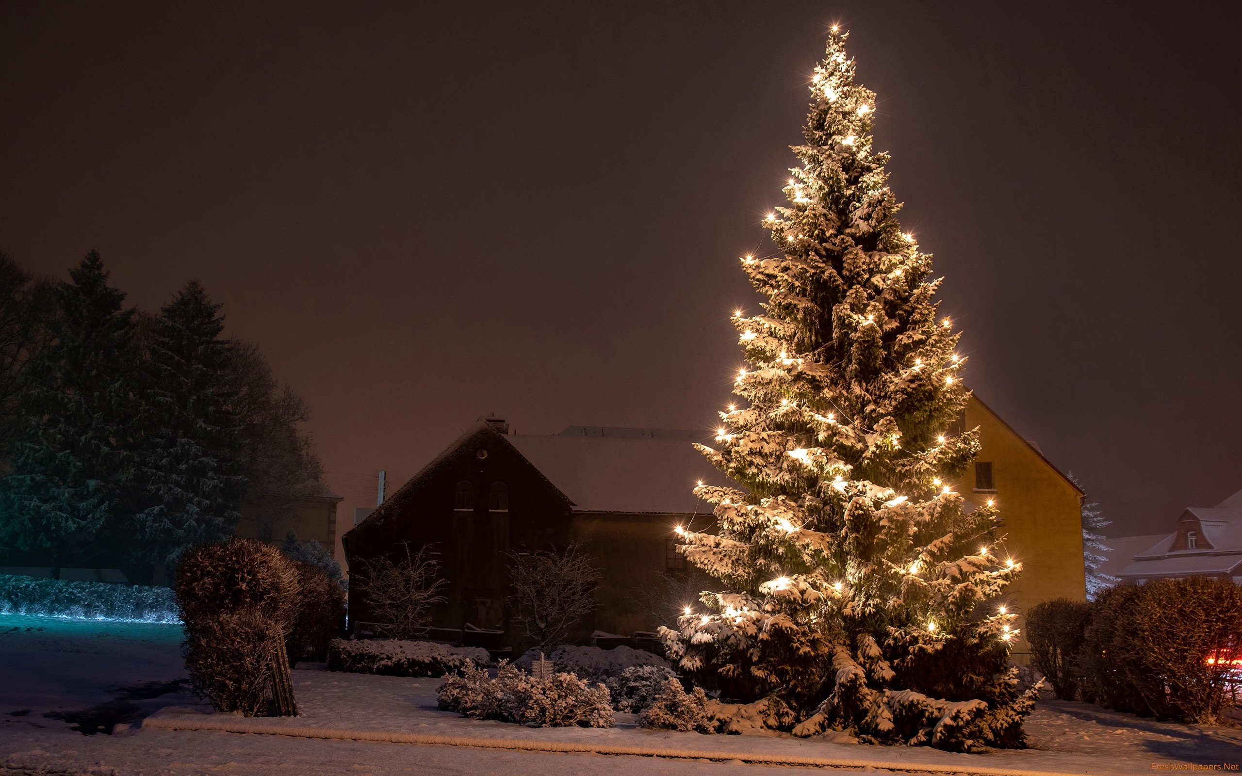 Winter Christmas - HD Wallpaper 