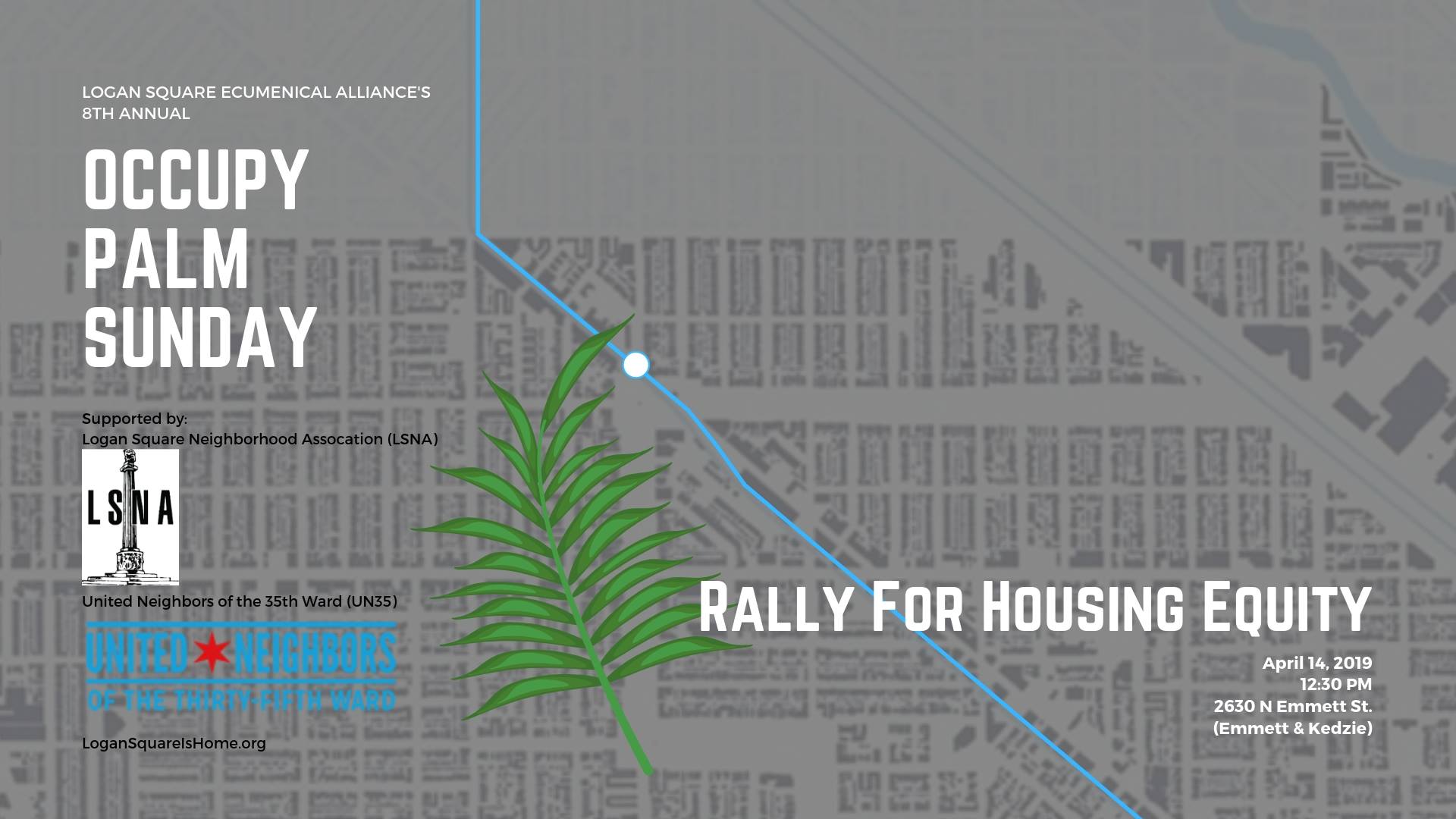 Attalea Speciosa - HD Wallpaper 