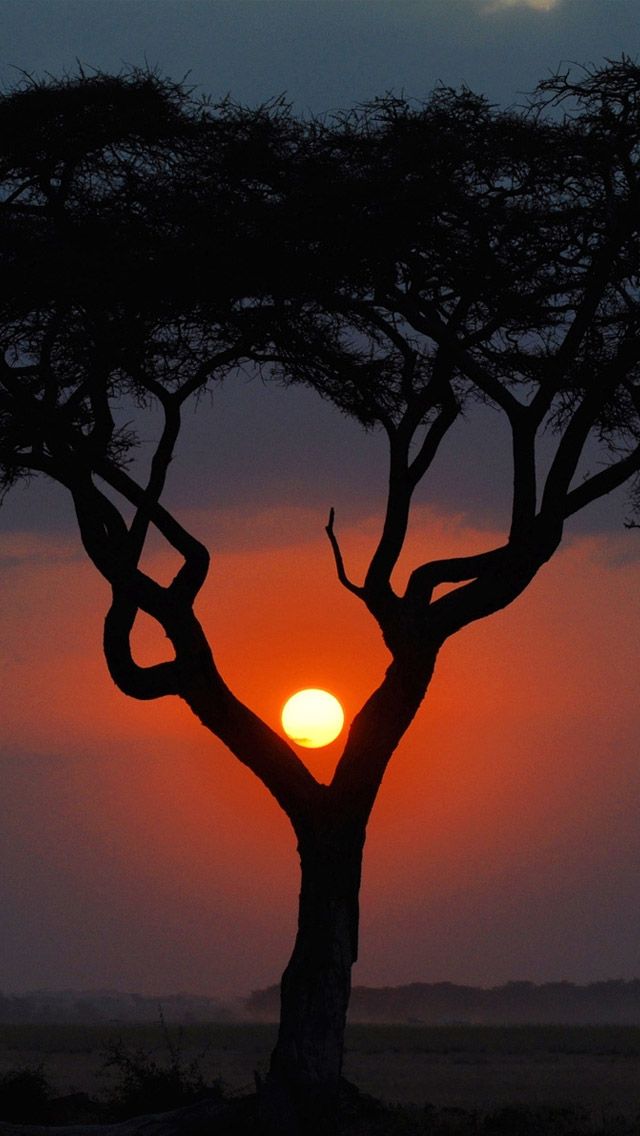 Good Night Image For Sister - HD Wallpaper 