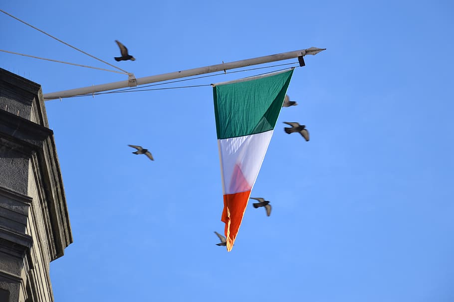 Ireland, Dublin, Birds, Blue, Flag, White, Orange, - HD Wallpaper 