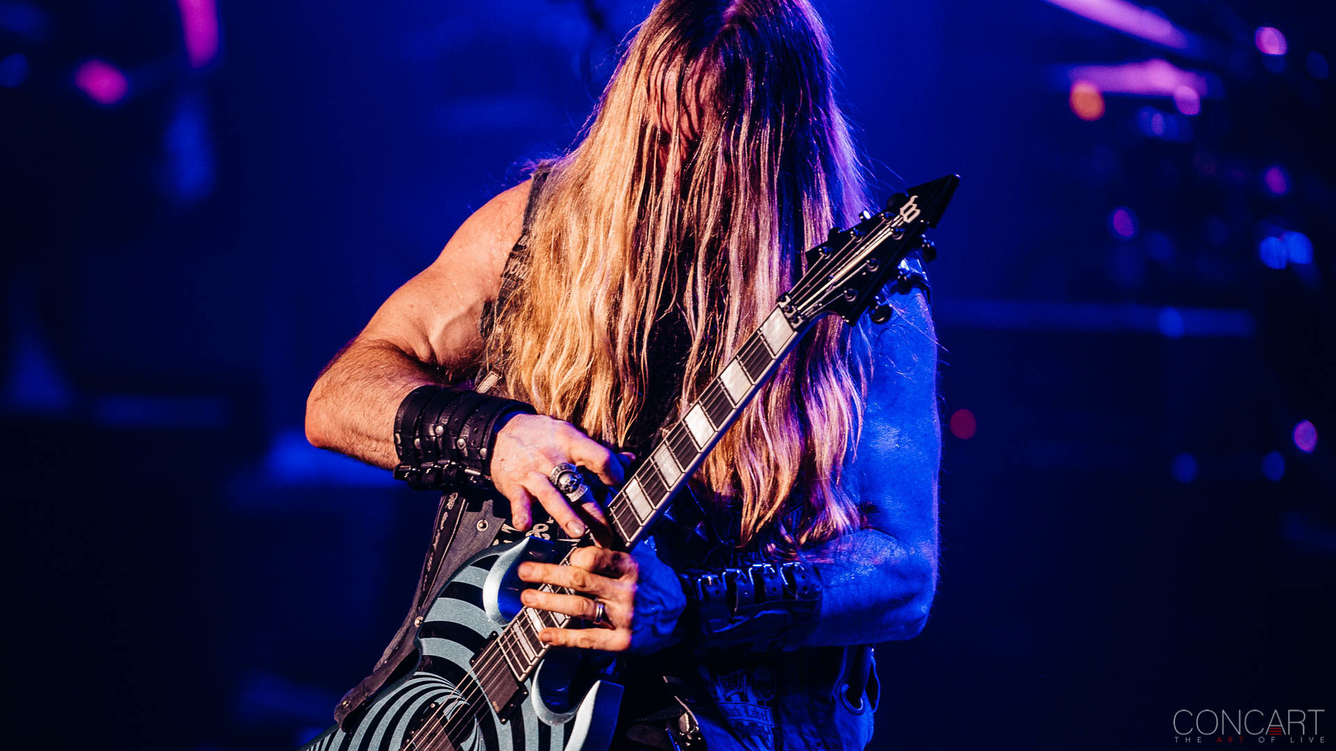 Zakk Wylde Photo By Sean Molin - Rock Concert - HD Wallpaper 