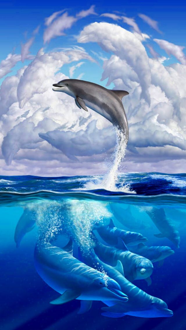 Marine Life Clipart - Cute Dolphin - HD Wallpaper 