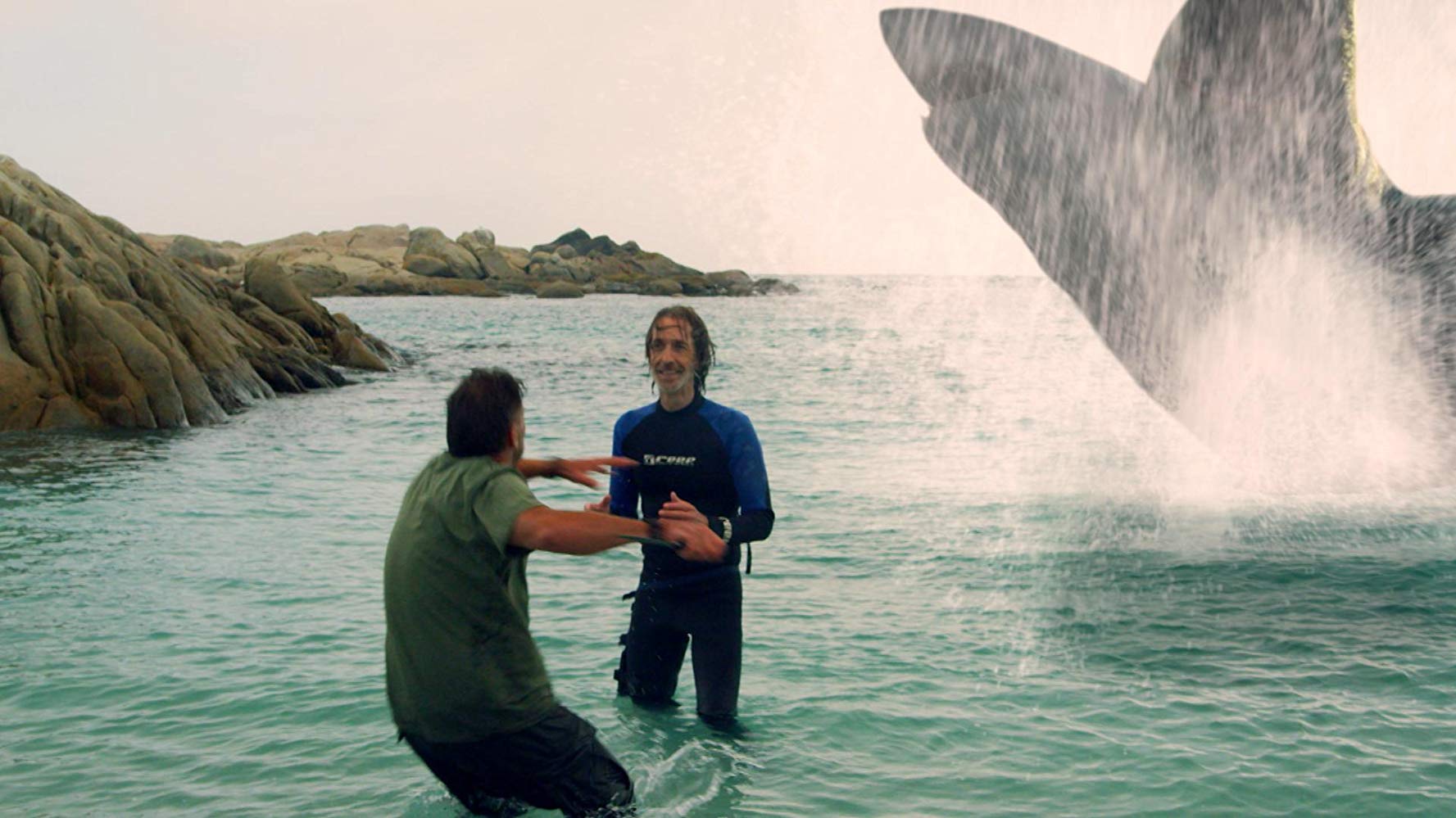 Six Headed Shark Attack - HD Wallpaper 