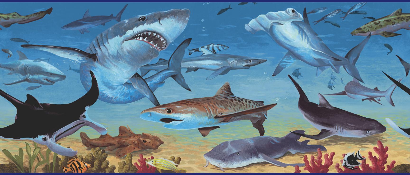 Sharks - HD Wallpaper 