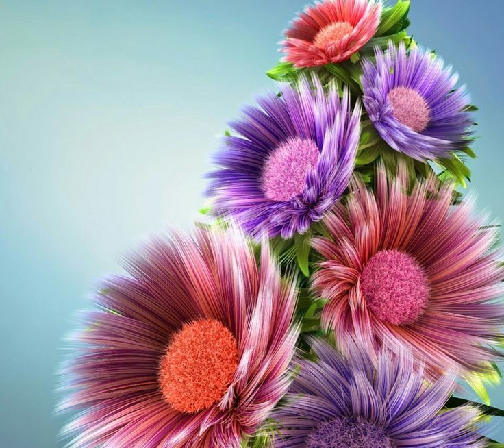 Zedge Computer Wallpapers, Zedge Wallpaper - New Wallpaper Full Screen Flower - HD Wallpaper 